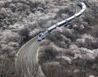 �������컨�����г�