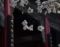 湬5