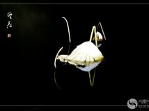  һ