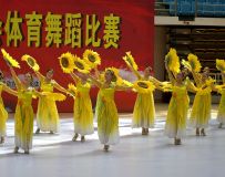 2018ȫ赸赸 2