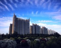 羰25