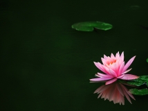˯