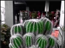 ƽ57
