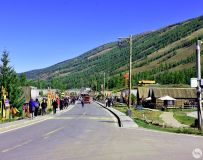 ����˹���½���