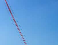 ŷ