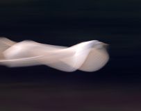 Ʈݡ