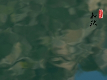 ֪