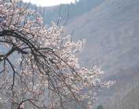 䡷