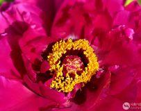 ĵ����1��