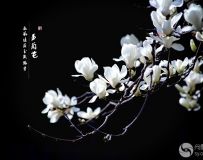 Ӻݶ