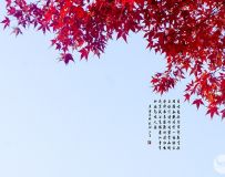 Ҷ