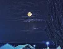 鄂尔多斯夜色