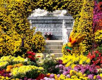 ������̨