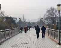 С��������2��