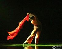 赸-33