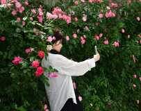 Ұ̤ͻɷ5