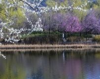 ů֦ͷ