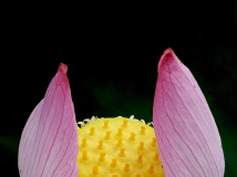 ˮԴء20137ڡͻΧ