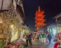 黨ҹɫ2