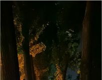 ҹС·