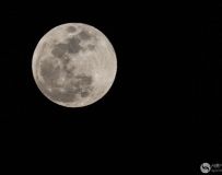 百年奇观——蓝月亮、红月亮、月全食