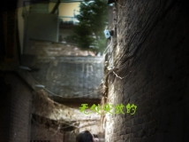 ޴ŵഺ