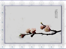 һ֦ӳǽ
