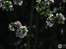 ֮