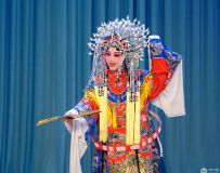 ���������� ��51