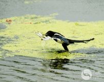 Ӱҵϲȵץ~ͼ   004--2