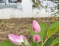 Ǵůʱ 17