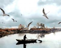 ����Ÿ��