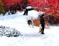 ���տ���