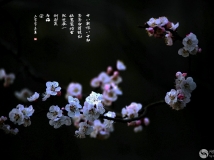 欵İ