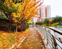 еķ羰Ҷ족26