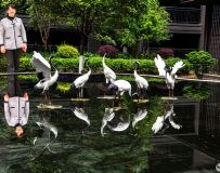 ���ŵ�С��