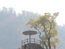 ž
