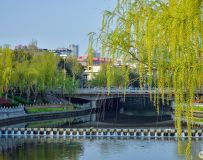 ʪ����֮��