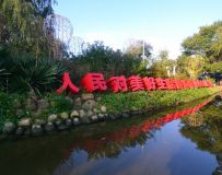 ɫ续