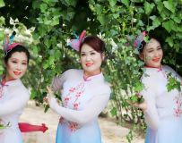 ǹ----绨¼԰㻨5