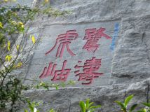 鷨
