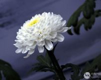 㣨22