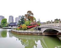 续