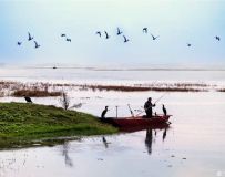 �������