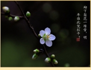 滨