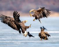 ����������