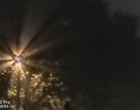 붬ڶδ  (1)