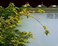 δ˪ʱ