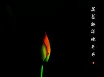 Ǿޱ»L
