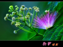 ոտŵĺϻ